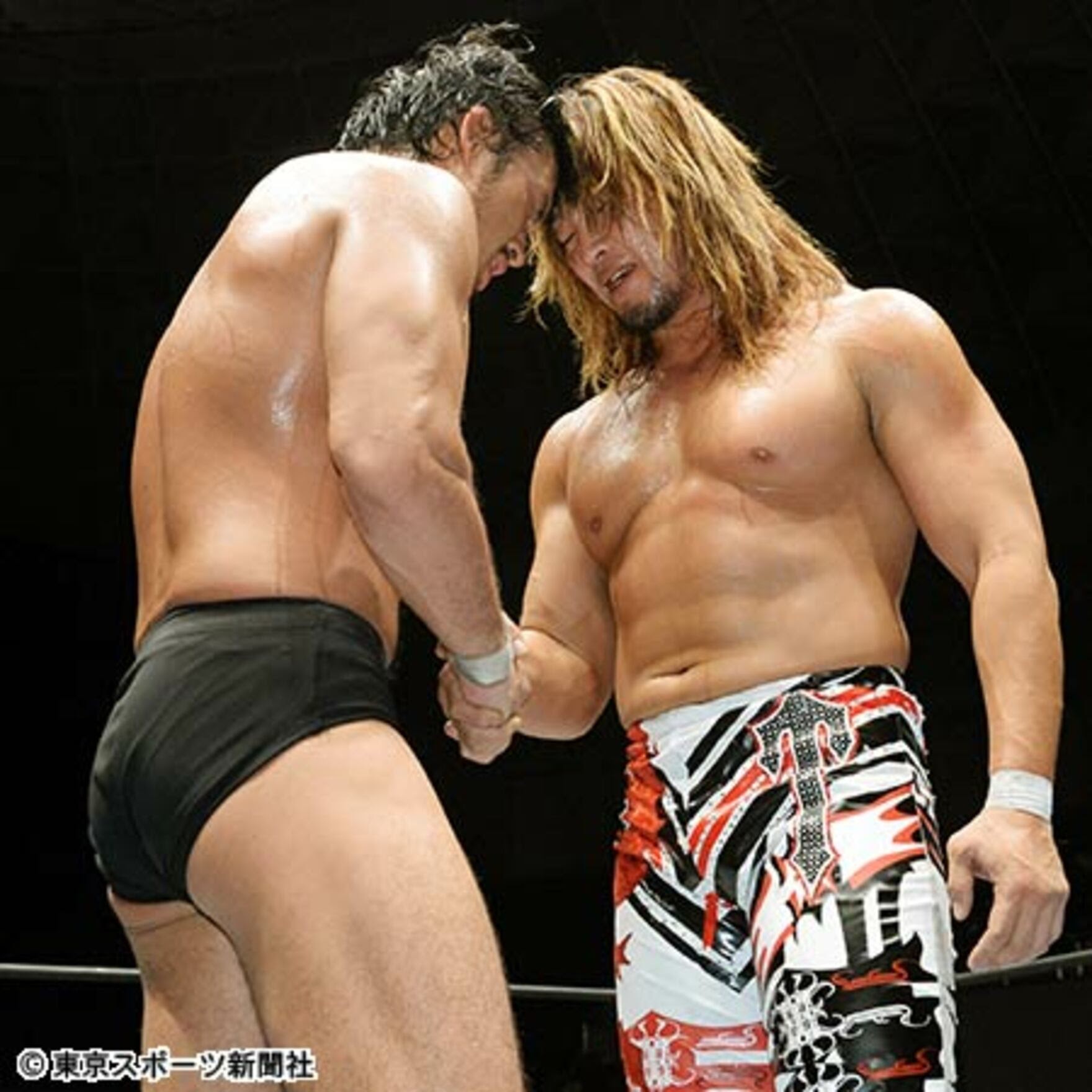 Image of Tanahashi and Shibata shaking hands after their match. 